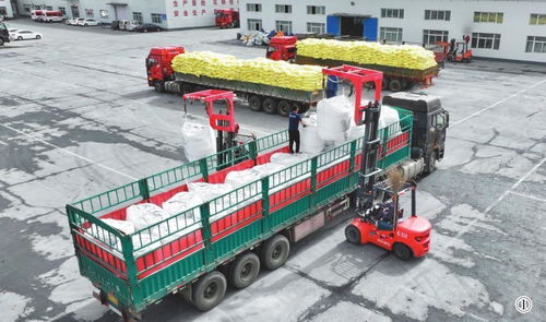 滿負(fù)荷生產(chǎn)化肥助春耕 運(yùn)輸保障筑牢豐收根基