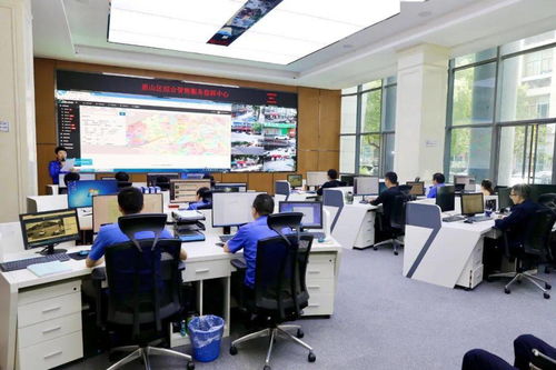 區(qū)政協(xié)視察全區(qū)智慧城管服務(wù)系統(tǒng)建設(shè)情況 科學(xué)化、智能化、智慧化推動(dòng)城市治理新格局